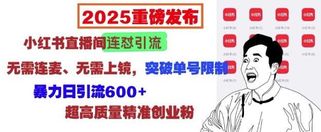 2025重磅发布：小红书直播间连怼引流，无需连麦、无需上镜，突破单号限制，暴力日引流600+-16888副业资讯