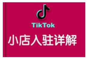 TikTok跨境小店运营全攻略，帮助你独立运营TK跨境小店的能力，实现销量增长-16888副业资讯
