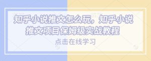 知乎小说推文怎么玩，知乎小说推文项目保姆级实战教程-16888副业资讯