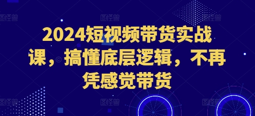 2024短视频带货实战课，搞懂底层逻辑，不再凭感觉带货-16888副业资讯