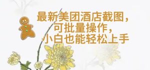 【轻云】最新美团酒店截图，可批量操作，小白也能轻松上手-16888副业资讯