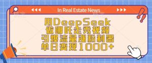用DeepSeek做哪吒走秀视频,引爆流量涨粉利器,单日变现1k-16888副业资讯