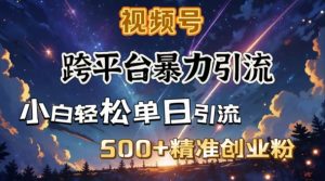 跨平台暴力引流,私域完美闭环,日引500+精准创业粉-16888副业资讯