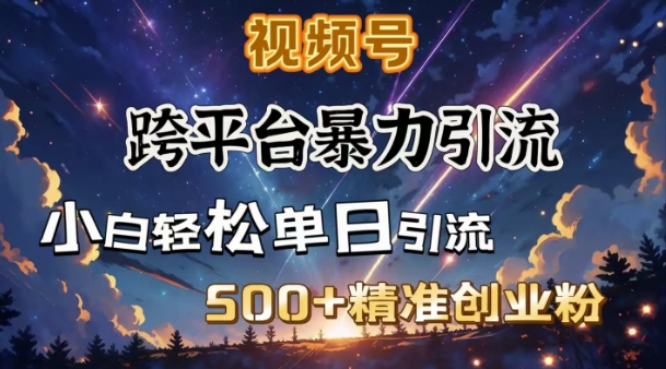 跨平台暴力引流，私域完美闭环，日引500+精准创业粉-16888副业资讯