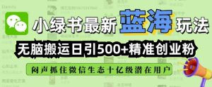 小绿书无脑搬运引流,全自动日引500精准创业粉,微信生态内又一个闷声发财的机会-16888副业资讯