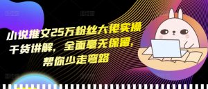 小说推文25万粉丝大佬实操干货讲解，全面毫无保留，帮你少走弯路-16888副业资讯