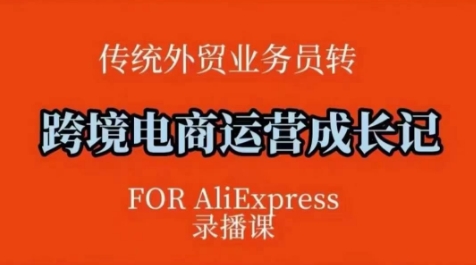 跨境电商速卖通运营课，​运营方法论+后台实操，逻辑清晰-16888副业资讯