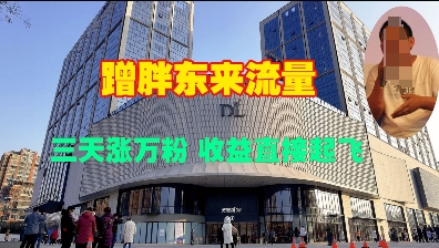 蹭胖东来流量，三天涨万粉，收益直接起飞-16888副业资讯