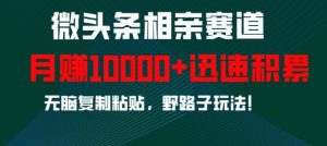 微头条相亲赛道,迅速积累,无脑复制粘贴,野路子玩法,月入1w-16888副业资讯