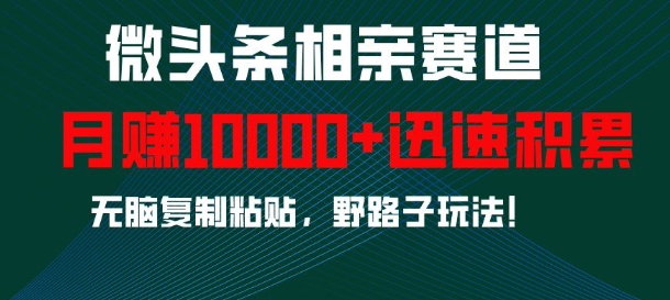 微头条相亲赛道，迅速积累，无脑复制粘贴，野路子玩法，月入1w-16888副业资讯