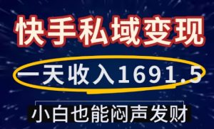 一天收入1691.5，快手私域变现，小白也能闷声发财-16888副业资讯
