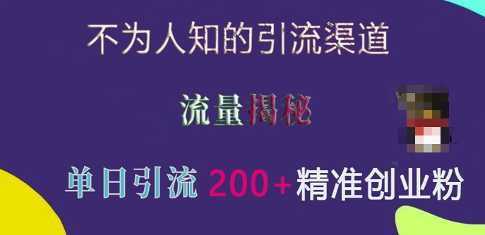 不为人知的引流渠道，流量揭秘，实测单日引流200+精准创业粉【揭秘】-16888副业资讯