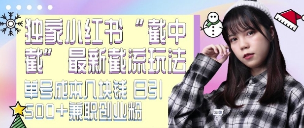 最新小红书截流玩法 独家截中截 单号成本几块钱 日引500+CY粉JZ粉-16888副业资讯