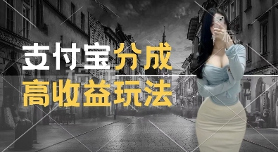 支付宝分成计划新玩法，利用交通事故视频，赚收益，轻松月入过W，操作简单【揭秘】-16888副业资讯