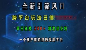 全新引流风口，跨平台玩法日入上k，单日狂揽200+精准创业粉，一个被严重忽略的视频平台-16888副业资讯