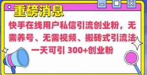 快手最新引流创业粉方法，无需养号、无需视频、搬砖式引流法【揭秘】-16888副业资讯