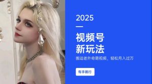 搬运老外奇葩视频,撸视频号分成计划收益,每天只需一小时,新手小白轻松月入过W-16888副业资讯