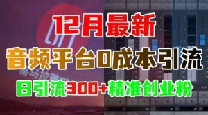 12月最新:音频平台0成本引流,日引流300+精准创业粉-16888副业资讯