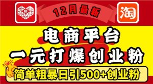 12月最新：电商平台1元打爆创业粉，简单粗暴日引500+精准创业粉，轻松月入过W【揭秘】-16888副业资讯