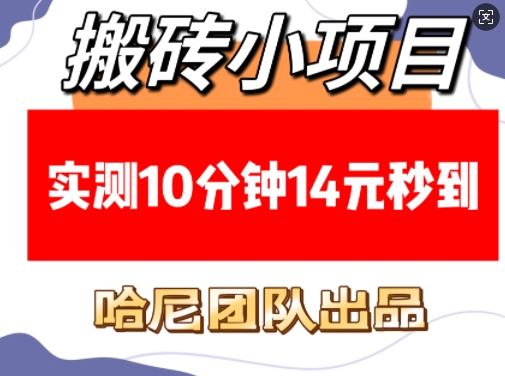 搬砖小项目，实测10分钟14元秒到，每天稳定几张(赠送必看稳定)-16888副业资讯
