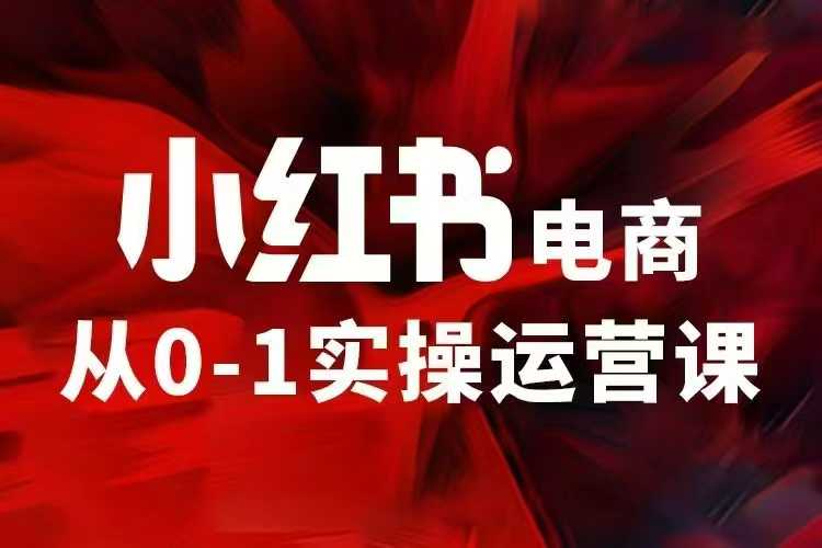 小红书电商运营，97节小红书vip内部课，带你实现小红书赚钱-16888副业资讯