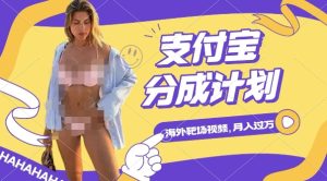 利用海外靶场射击视频，挣支付宝分成收益，轻松月入过W【揭秘】-16888副业资讯