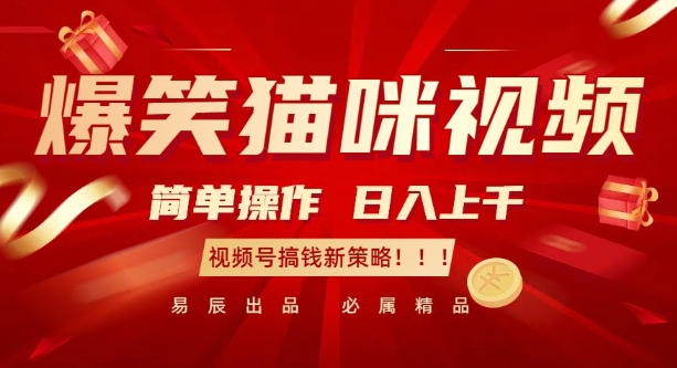 爆笑猫咪视频：简单操作，日入过K，视频号搞钱新策略【揭秘】-16888副业资讯