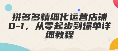 拼多多精细化运营店铺0-1，从零起步到爆单详细教程-16888副业资讯