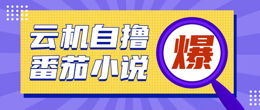 首发云手机自撸小说玩法，10块钱成本可撸200+收益操作简单【揭秘】-16888副业资讯