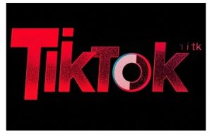TikTok ads投流秘籍，涵盖tiktok整体投放思路，教你搭建测试计划-16888副业资讯