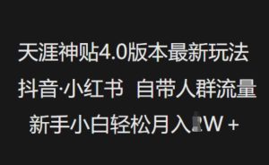 天涯神贴4.0版本最新玩法,抖音·小红书自带人群流量,新手小白轻松月入过W-16888副业资讯