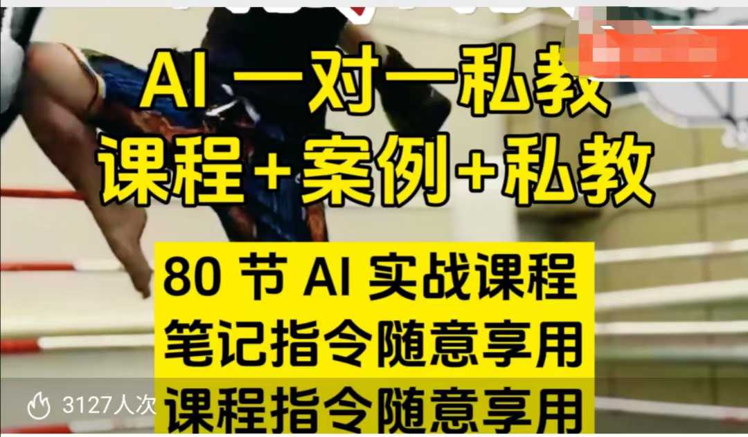 AI指令实战课，课程+案例，80节AI实战课程，笔记指令随意享用，课程指令随意享用-16888副业资讯
