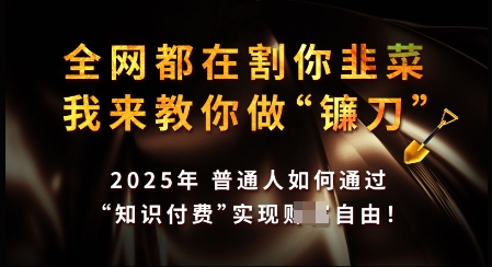 知识付费如何做到月入过W+，2025我来教你做“镰刀”【揭秘】-16888副业资讯