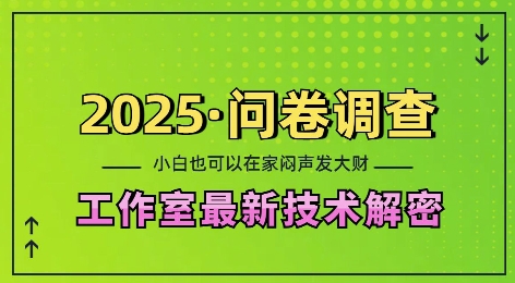 2025问卷调查最新工作室技术解密：一个人在家也可以闷声发大财，小白一天2张，可矩阵放大【揭秘】-16888副业资讯