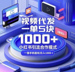 视频代发,一单5块,小红书引流合作模式,一部手机轻松日入多张【揭秘】-16888副业资讯