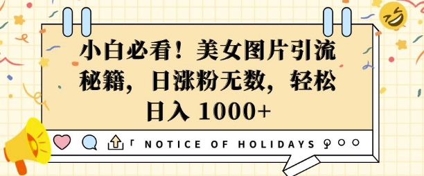 小白必看，美女图片引流秘籍，日涨粉无数，轻松日入几张【揭秘】-16888副业资讯