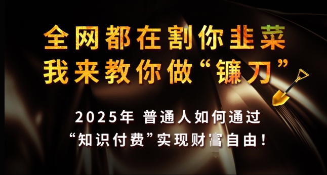 全网都在割你韭菜，我来教你做镰刀，2025年普通人如何通过 知识付费 实现财F自由【揭秘】-16888副业资讯