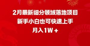 2月最新细分领域落地项目，新手小白也可快速上手，月入1W-16888副业资讯