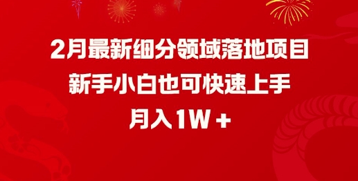 2月最新细分领域落地项目，新手小白也可快速上手，月入1W-16888副业资讯