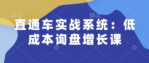 直通车实战系统：低成本询盘增长课，让个人通过技能实现升职加薪，让企业低成本获客，订单源源不断-16888副业资讯