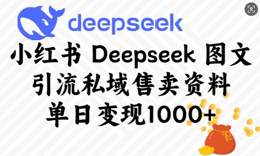 小红书Deepseek图文引流私域售卖资料，单日变现多张-16888副业资讯