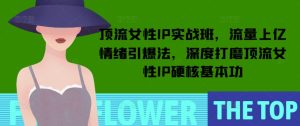 顶流女性IP实战班,流量上亿情绪引爆法,深度打磨顶流女性IP硬核基本功-16888副业资讯