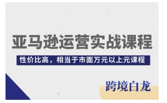 亚马逊运营实战课程，亚马逊从入门到精通，性价比高，相当于市面万元以上元课程-16888副业资讯