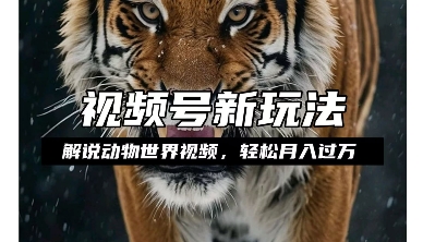 利用动物世界解说视频，赚分成计划收益，轻松月入过W，操作简单【揭秘】-16888副业资讯