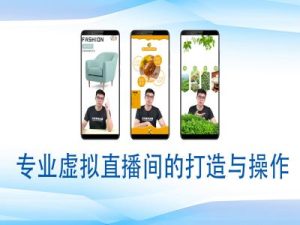 个人虚拟直播间的搭建与操作,专业虚拟直播间的打造与操作-16888副业资讯