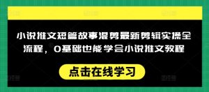 小说推文短篇故事混剪最新剪辑实操全流程，0基础也能学会小说推文教程，肯干多发日入多张-16888副业资讯