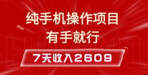 纯手机操作的小项目，有手就能做，7天收入2609+实操教程【揭秘】-16888副业资讯