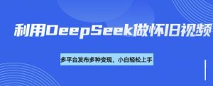 利用DeepSeek做怀旧视频,流量号多渠道变现能力强-16888副业资讯