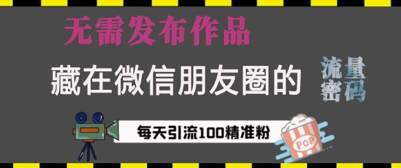 藏在微信朋友圈的流量密码，无需发布作品，单日引流100+精准创业粉【揭秘】-16888副业资讯