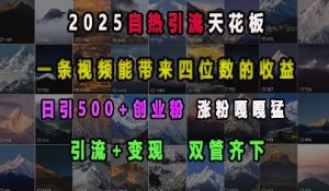 2025自热引流天花板，一条视频能带来四位数的收益，引流+变现双管齐下，日引500+创业粉，涨粉嘎嘎猛-16888副业资讯
